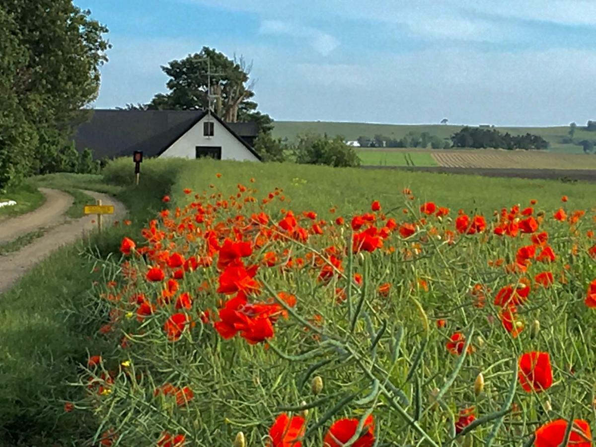 Wingardhs B&B Oesterlen Loderup Bagian luar foto